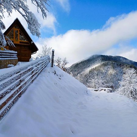 Drvene Kuce Suska - Wooden Houses Suska Zaovine Zewnętrze zdjęcie