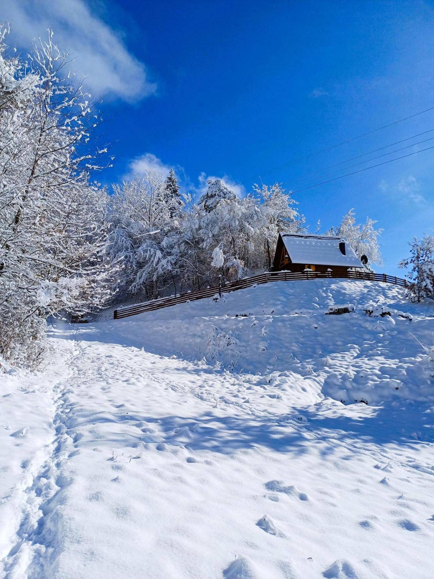 Drvene Kuce Suska - Wooden Houses Suska Zaovine Pokój zdjęcie