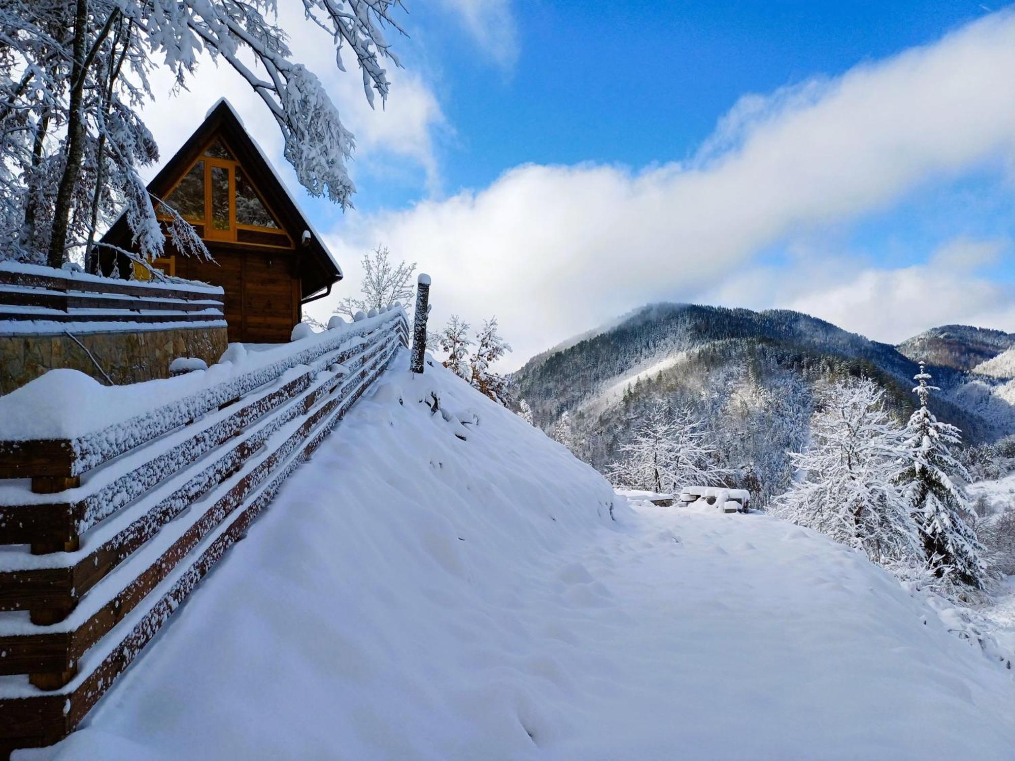 Drvene Kuce Suska - Wooden Houses Suska Zaovine Zewnętrze zdjęcie